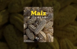 fondo-editorial-publicaciones-6