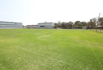 100322-campo-futbol-card