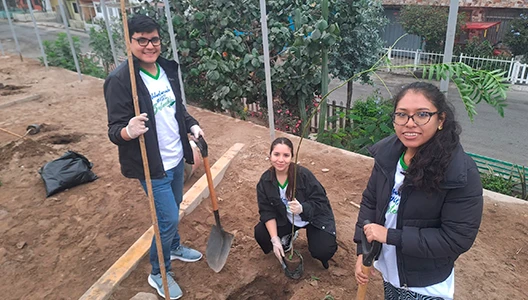 sostenibilidad-voluntariado-arboles