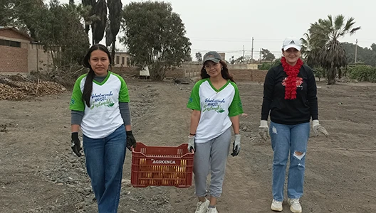 sostenibilidad-voluntariado-donacion