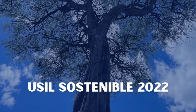 sostenibilidad-memorias-sostenible-2022