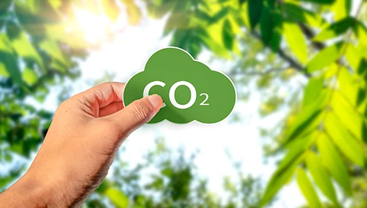 sostenibilidad-gestion-campus-consumo-carbono