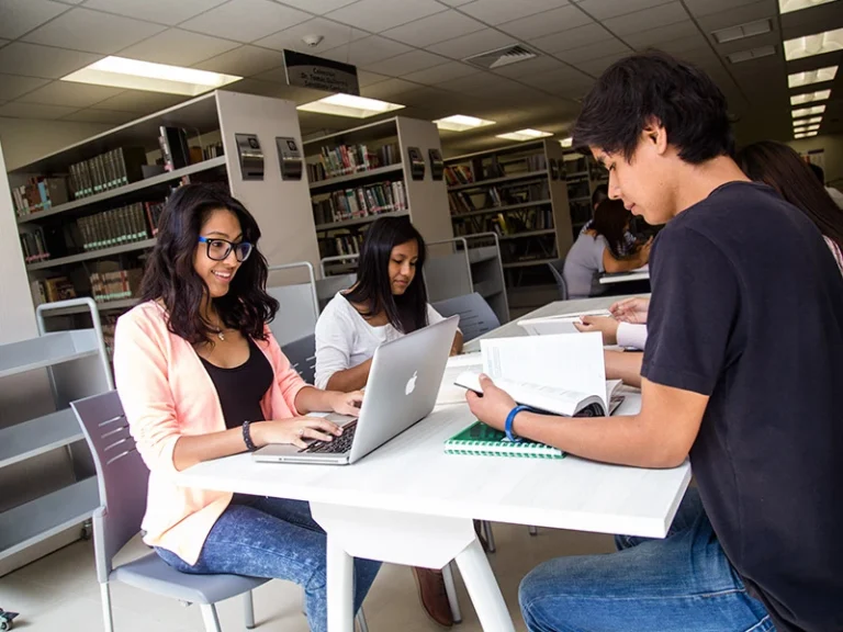 biblioteca-norte