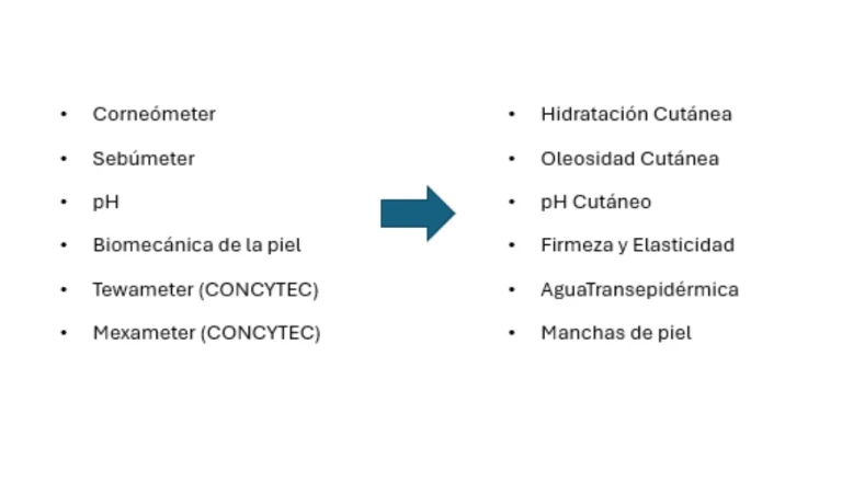 citic_servicios_bioing